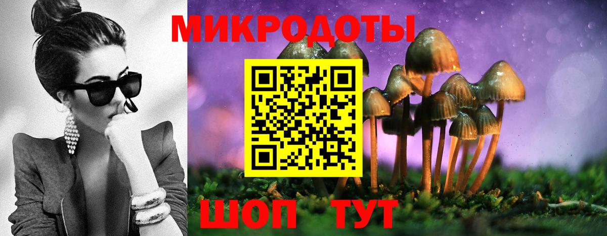Алатырь  Псилоцибиновые грибы мухоморы  Вход с VPN  Псилоцибиновые грибы Psilocybe 