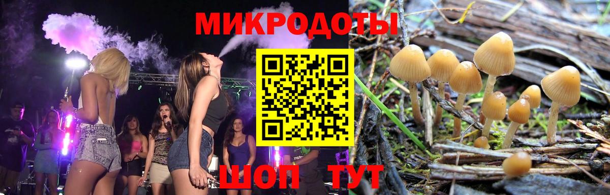 Галлюциногенные грибы MAGIC MUSHROOMS Алатырь